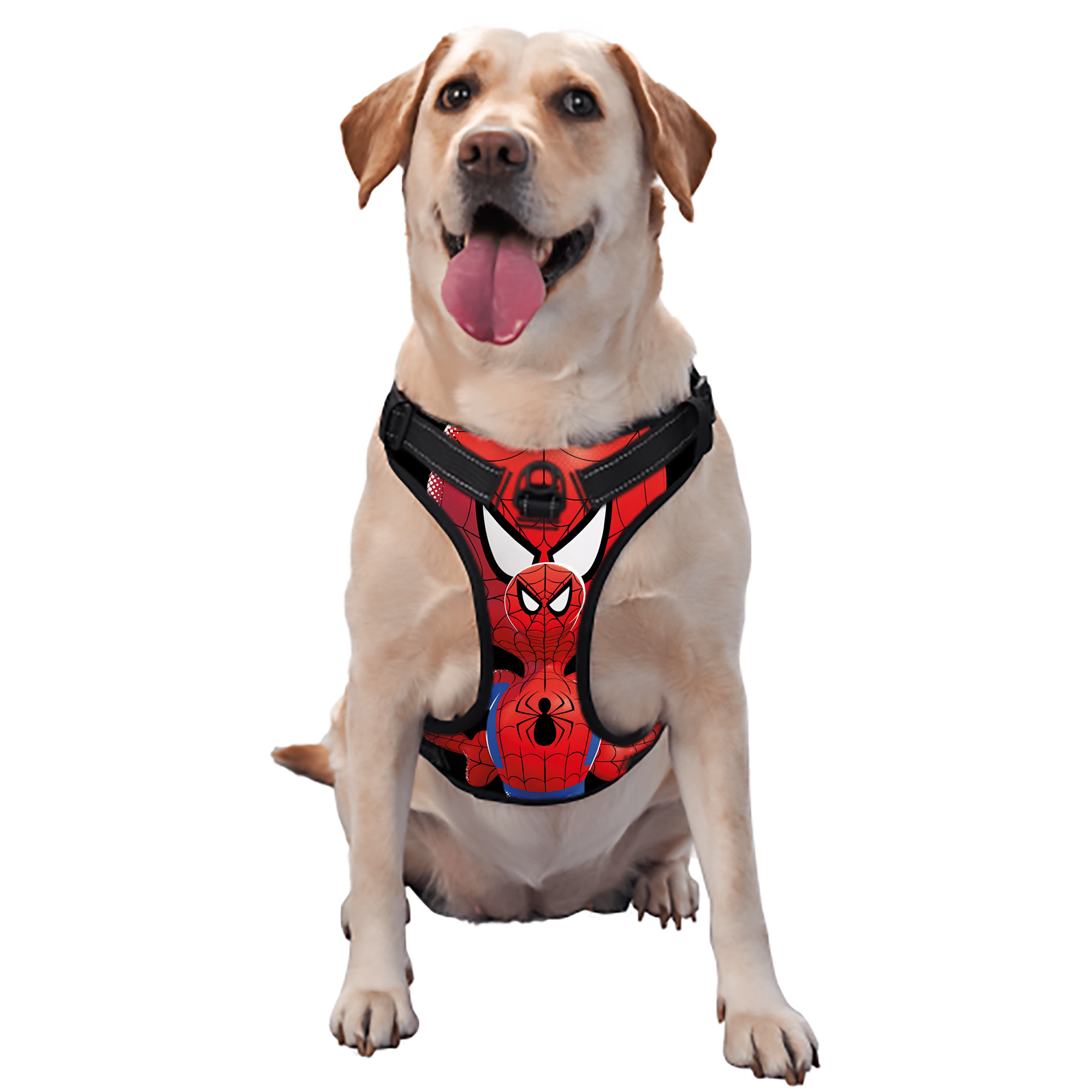 （画像用） Spider Man スパイダーマン ペット用ハーネス